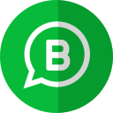 WhatsApp icon